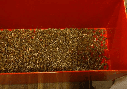 hemp heads