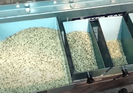 hemp hearts